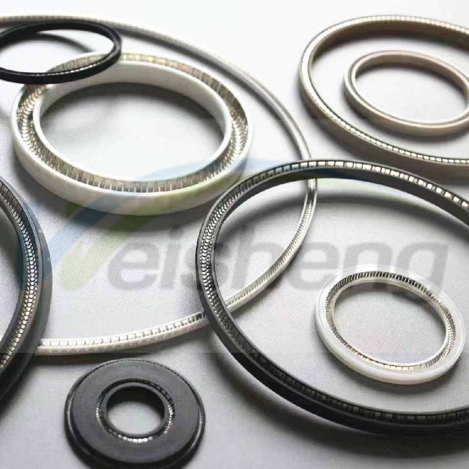 Hydraulic PTFE  Spring Energized Seals