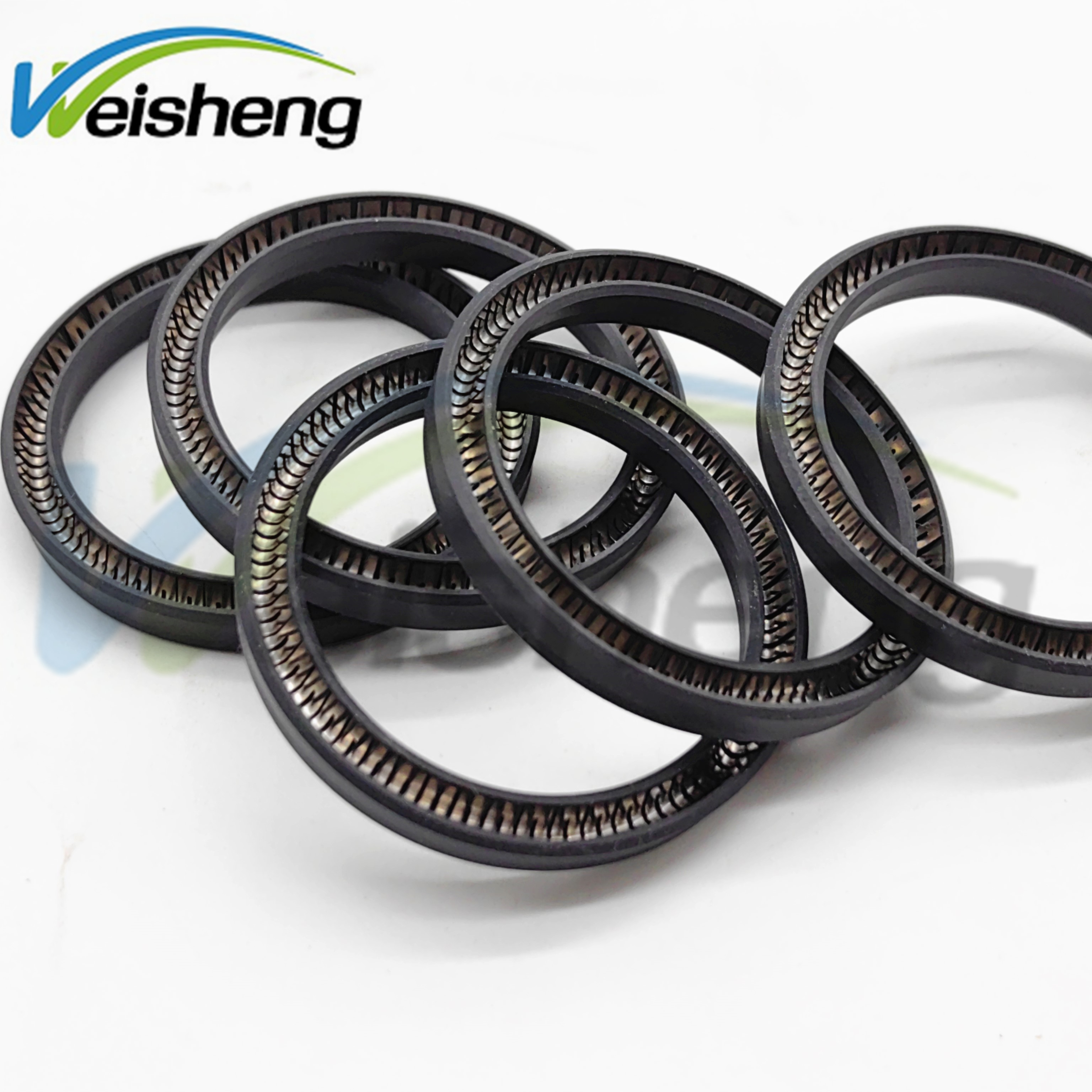 Double Lip Spring energized PTFE NBR Oil Seal high temperature seal kits 