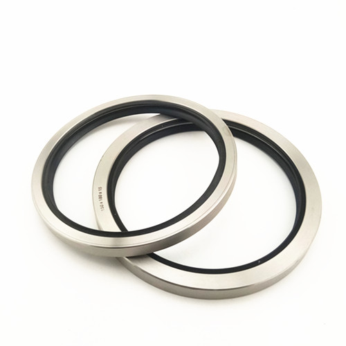 Stainless steel PTFE rotary seals 