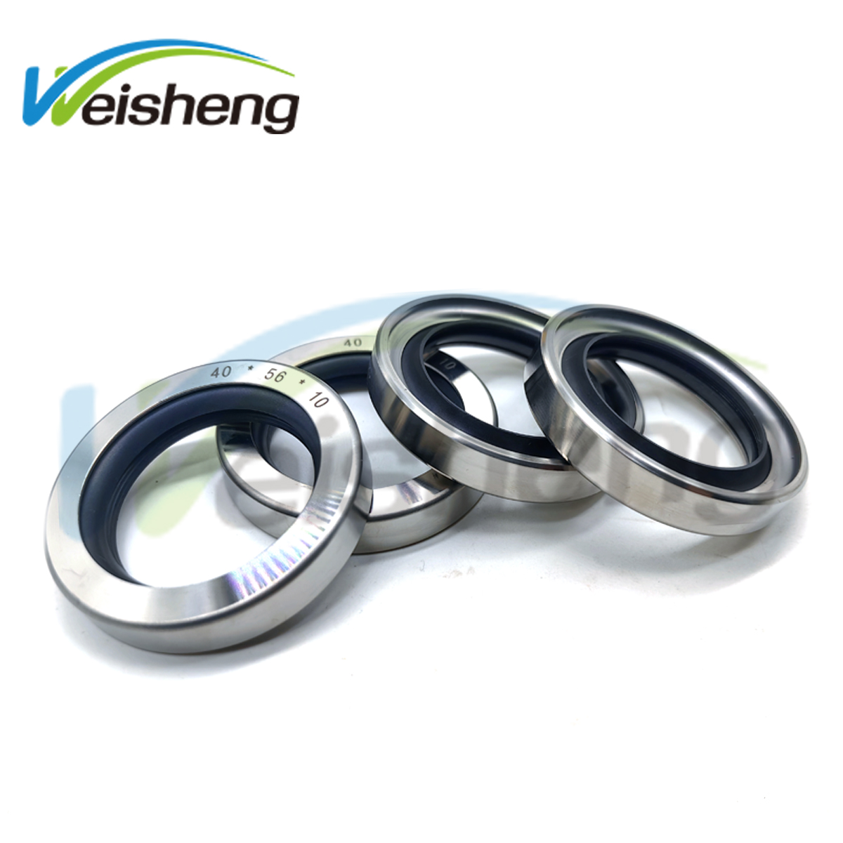 WS-SEALS PTFE 40*56*10 Double Lip Seal Stainless Steel Oil Seal
